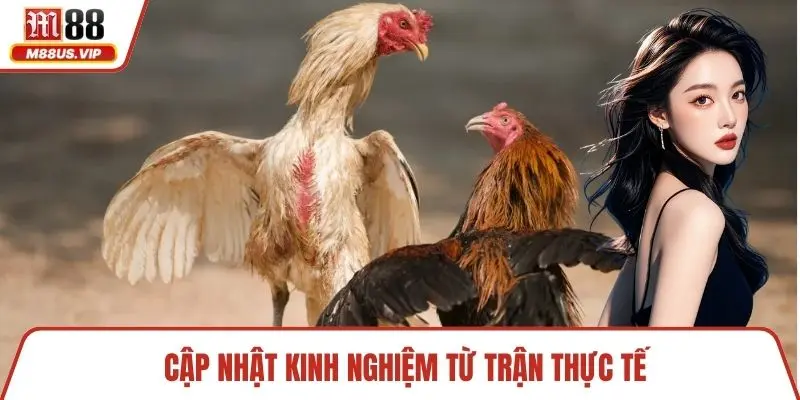 Cập nhật kinh nghiệm từ trận thực tế