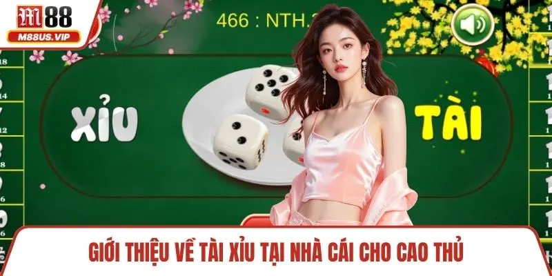 Tài Xỉu M88 - Giới Thiệu Thông Tin Chi Tiết Cho Dân Cược 2 Giới thiệu về tài xỉu tại nhà cái cho cao thủ