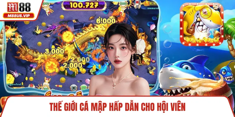 Thế giới cá mập hấp dẫn cho hội viên