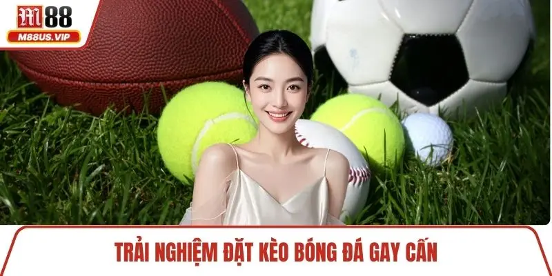 Trải nghiệm đặt kèo bóng đá gay cấn